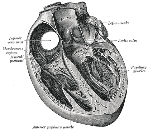 Illustration of a technical passage, of the kind you would highlight in a methods-heavy PDF